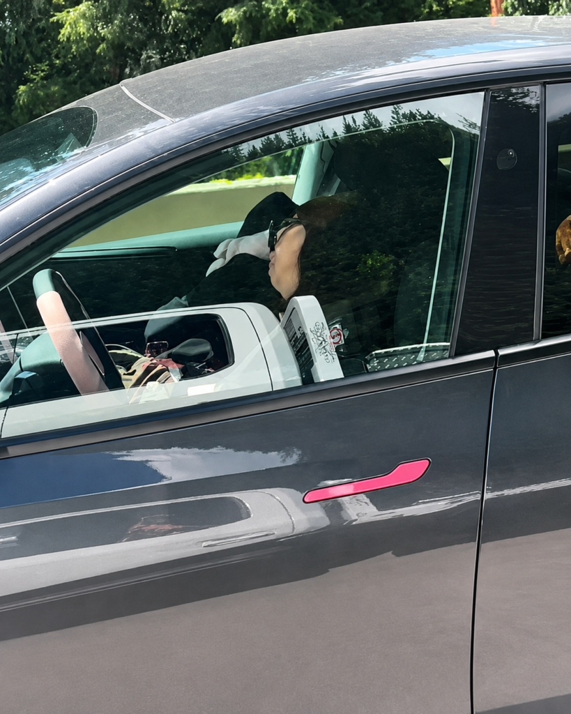 Sleeping Driver Highlights Limits of Driver Monitoring